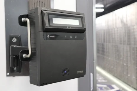 Iris-1500x1000.jpg (1)